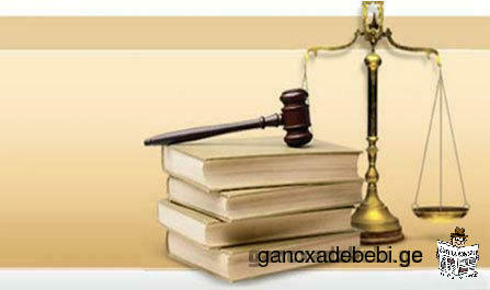 Legal aid/ Attorney