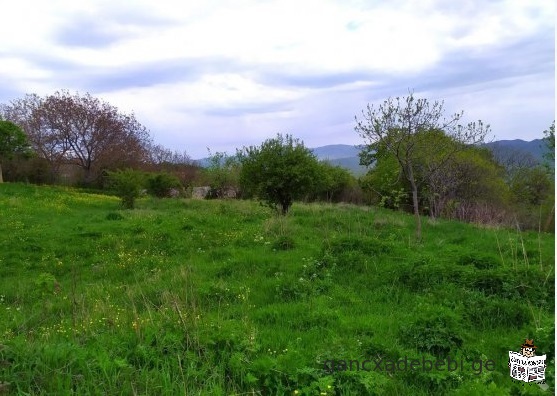 Land for sale in Betania