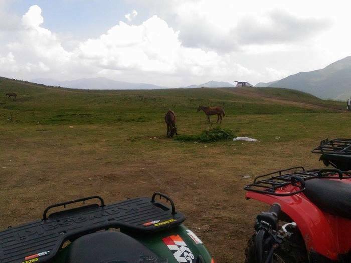 beautiful nature, Caucasus mountains, horses and quads on rent, near Guaduri