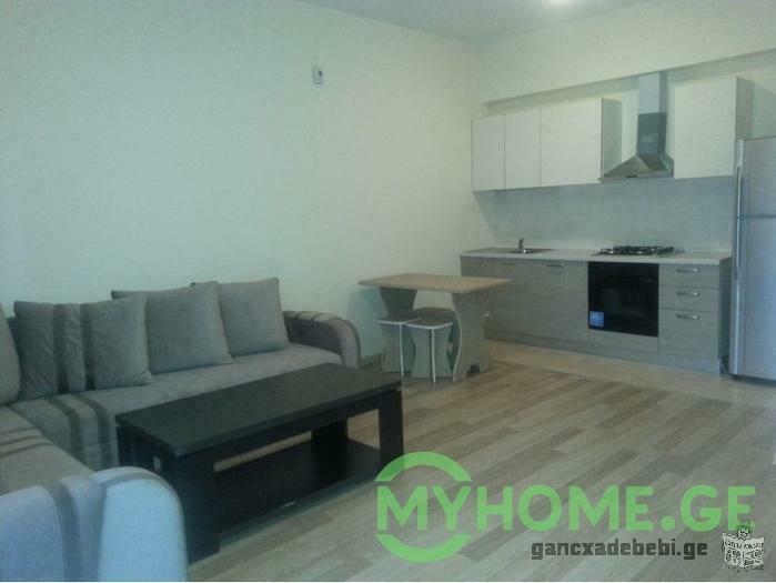 1 bedroom Flat to Let