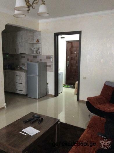 1 bedroom apartment with a kitchen, lounge zone and balcony for rent
