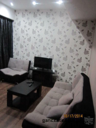 1 bedroom appartment for rent