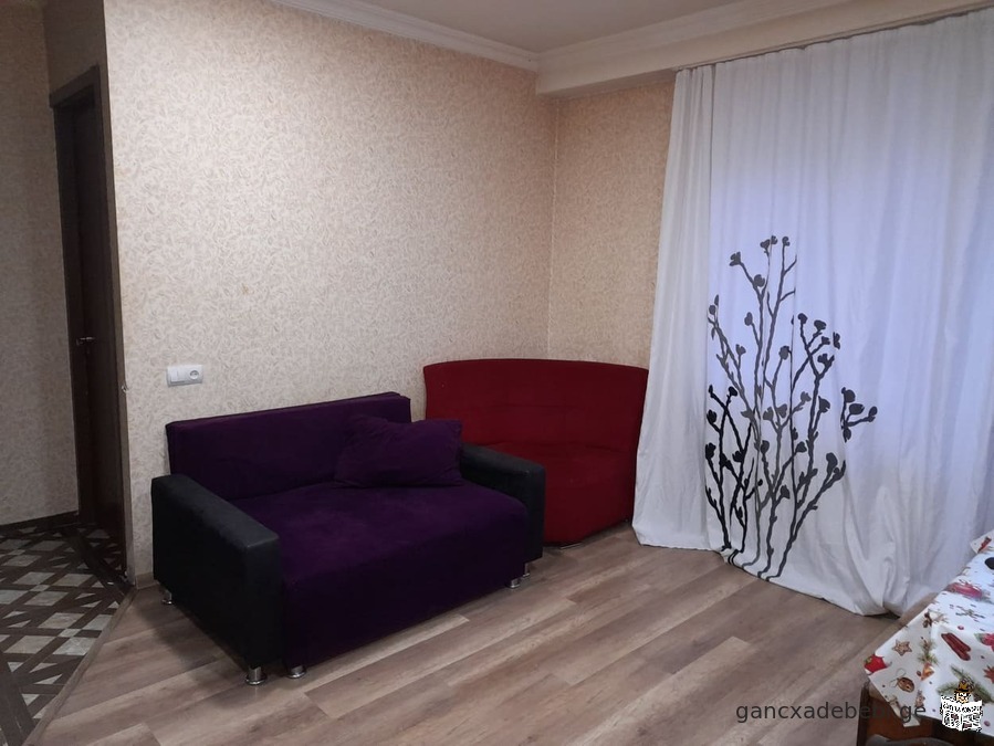 2-room apartment for rent in Tbilisi