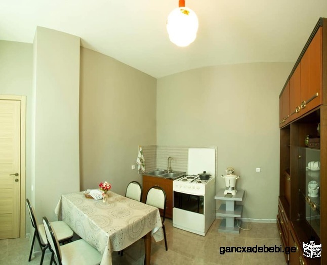 2-room apartment with a large dining room on Marjanishvili Square, 4 St. Petersburg