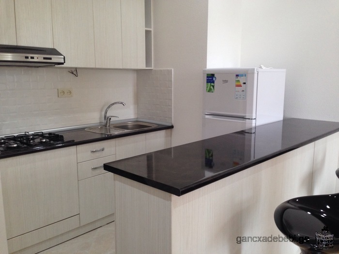 2 roomed-flat for rent in Saburtalo in "Axis"