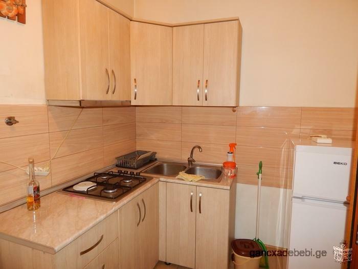 3-poom apartment for rent in Tbilisi Accommodation from 01 July