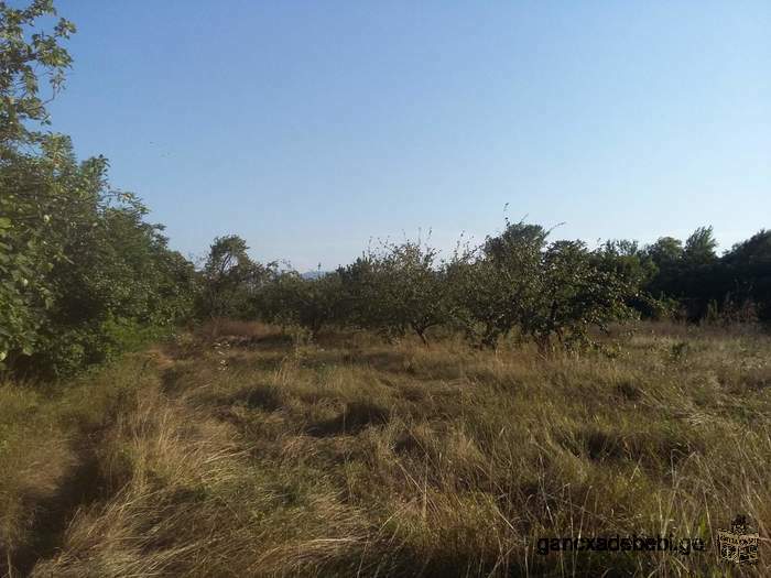 4000 square meter land for House and industry for sale