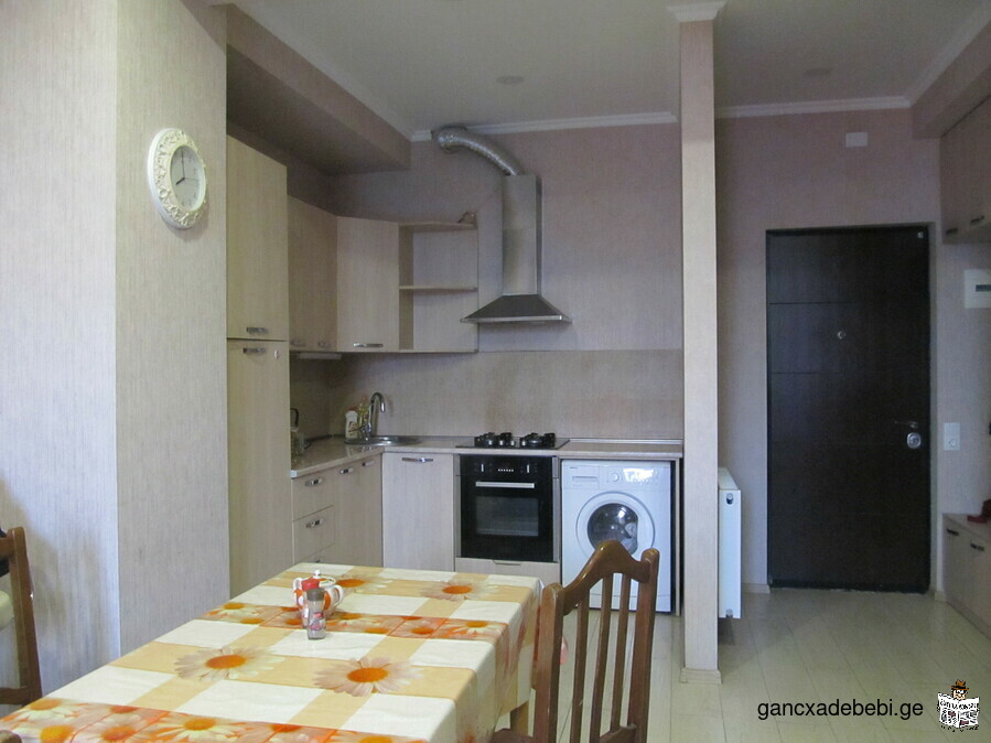 51 sq.m. apartment for rent in Digomi