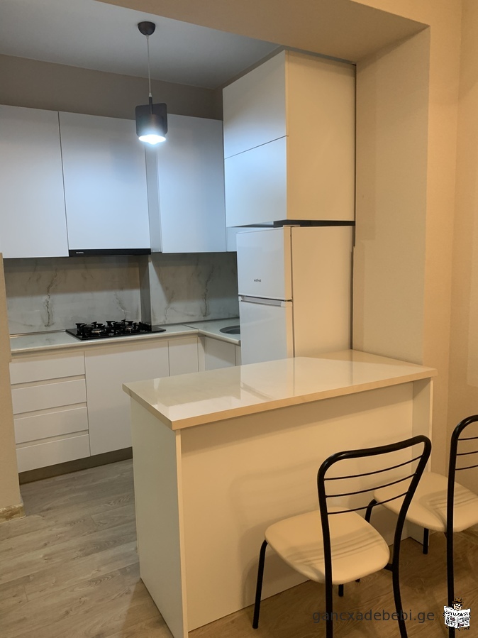 A newly renovated apartment for rent