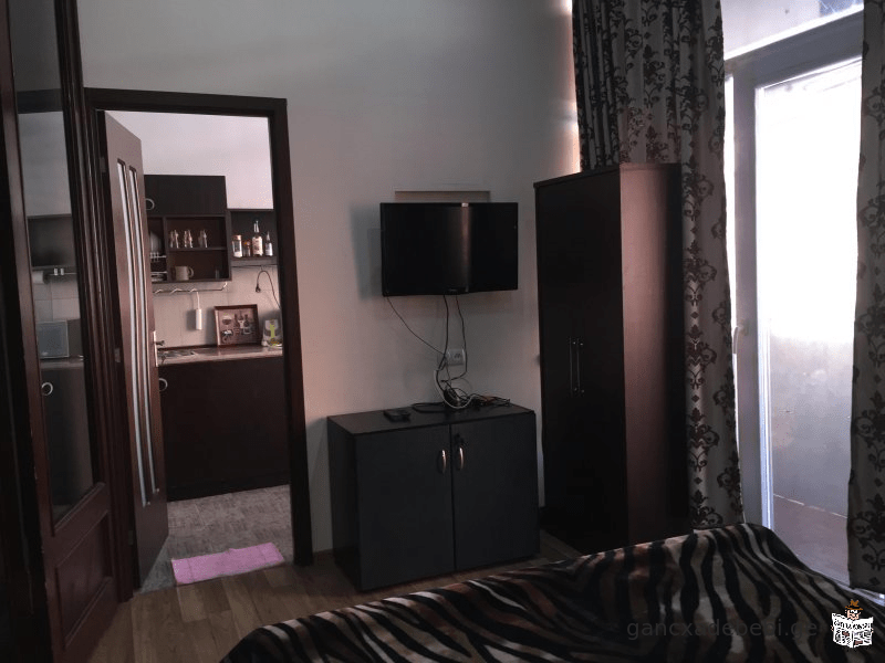 A newly renovated two-room apartment for rent in the city center