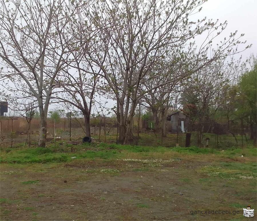 A plot of land is for sale in Kariel, Kobuleti