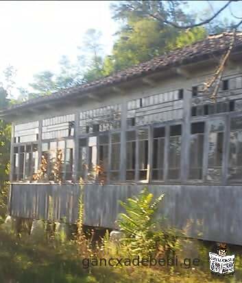 A plot of land with an oak house is for sale in the best location, Kharagauli, village Borit