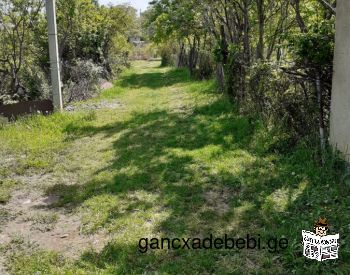 Agricultural land for sale in Gardabani municipality