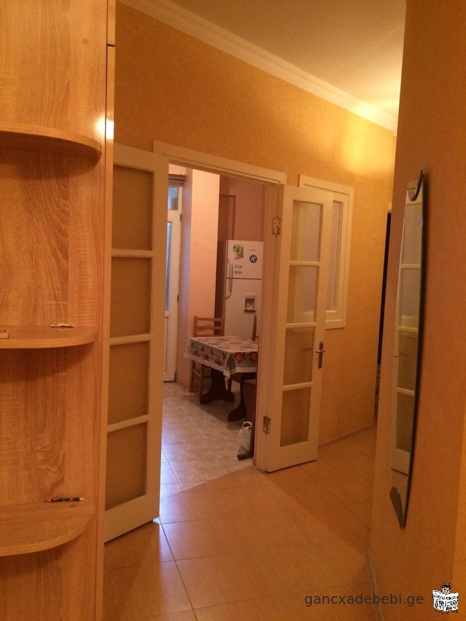 An apartment for rent on Dolidze Street.