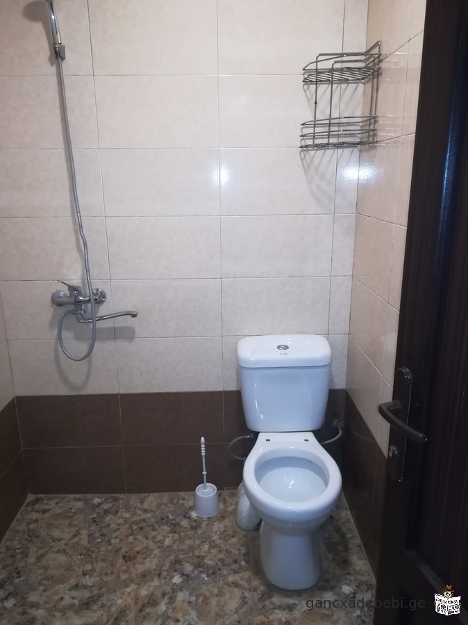 Apartment For Rent in Tbilisi