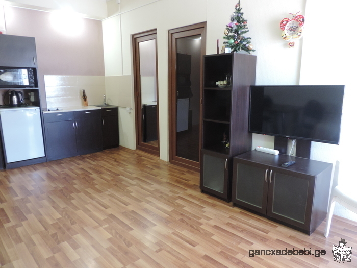 Apartment for rent In Bakuriani