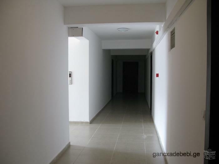 Apartment for rent in Dirsi residential complex