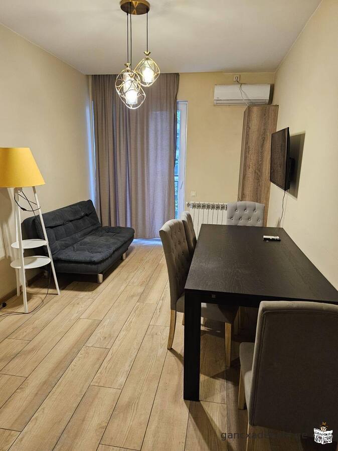 Apartment for rent near Kikvidze Park