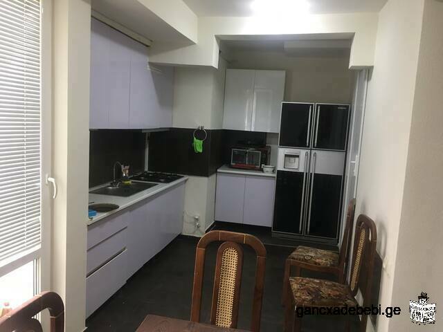 Apartment for rent on the Victor Dolidze str.