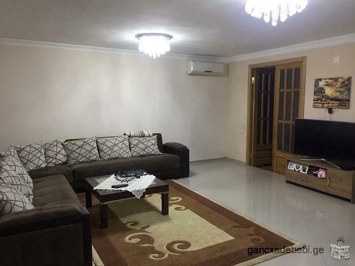 Apartment in the centre of the city for rent