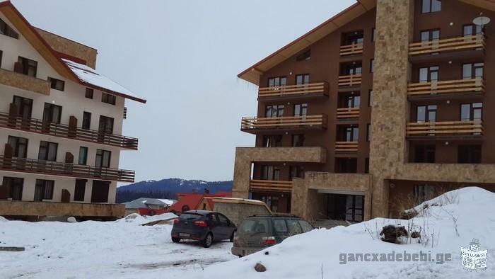 Comfortable apartment in the ski area in Bakuriani