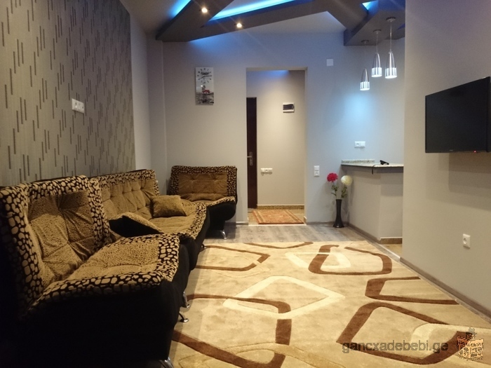 Comfortable, wellorganized flat with all amenities in the centre of Batumi