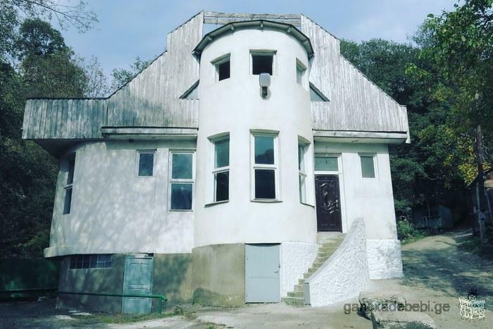 Country house in Borjomi