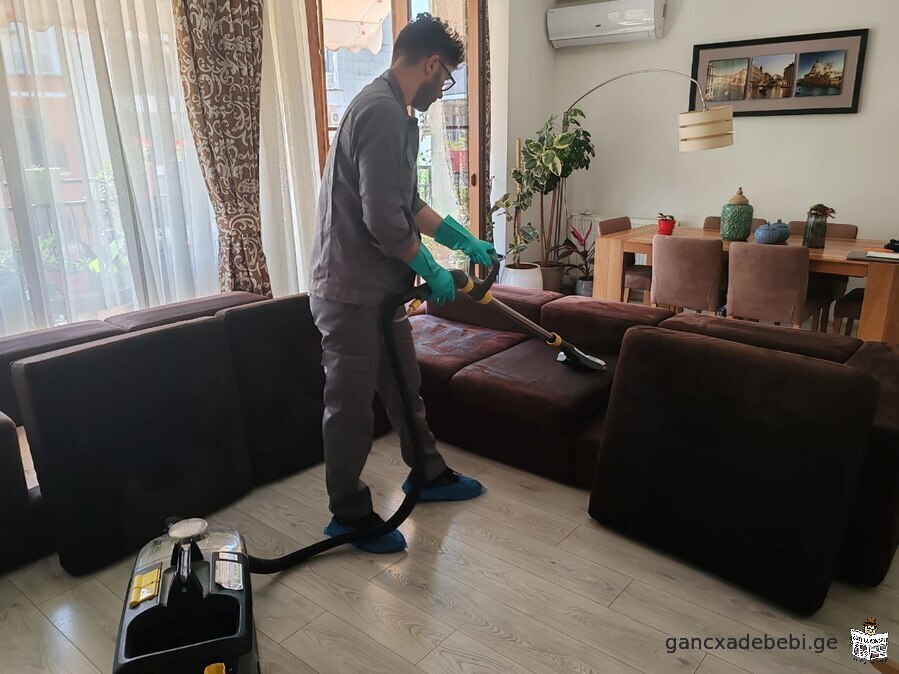 D&D Service - pest control, cleaning