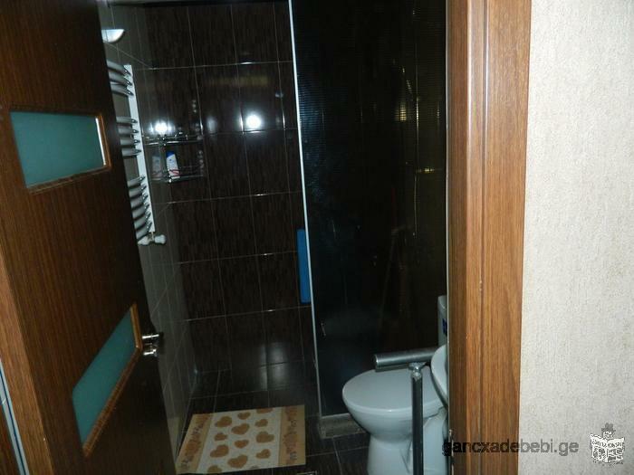 Daily rent of flat for foreign visitors in Georgia, Tbilisi,.