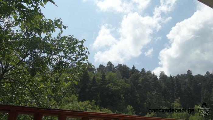 FOR RENT. GUEST HOUSE IN BORJOMI
