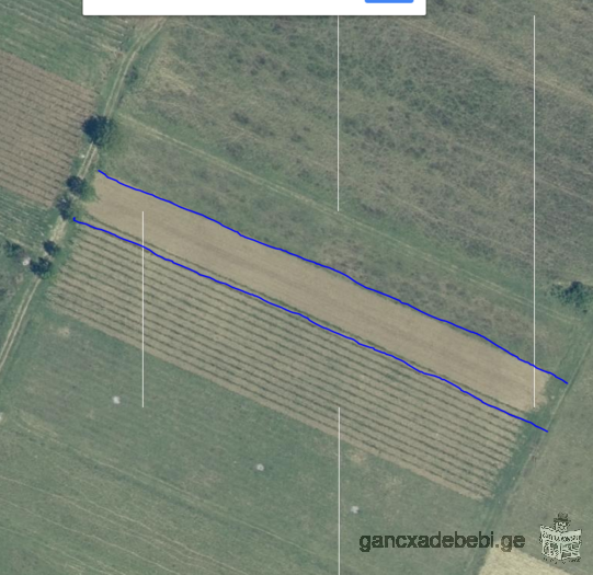 For Sale Agricultural Land 2000 sq.m.