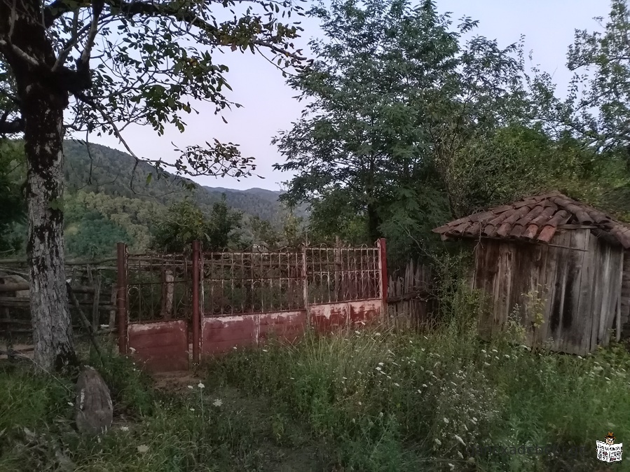 For sale, Kharagauli municipality, village In Borit, 3220 sq.m homestead plot with an oak house