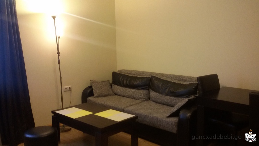 Furnished apartment for rent annually