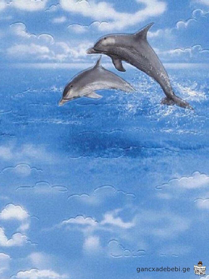 German waterproof washable water-resistant vinyl non-woven wallpaper Dolphins Rasch Made in Germany