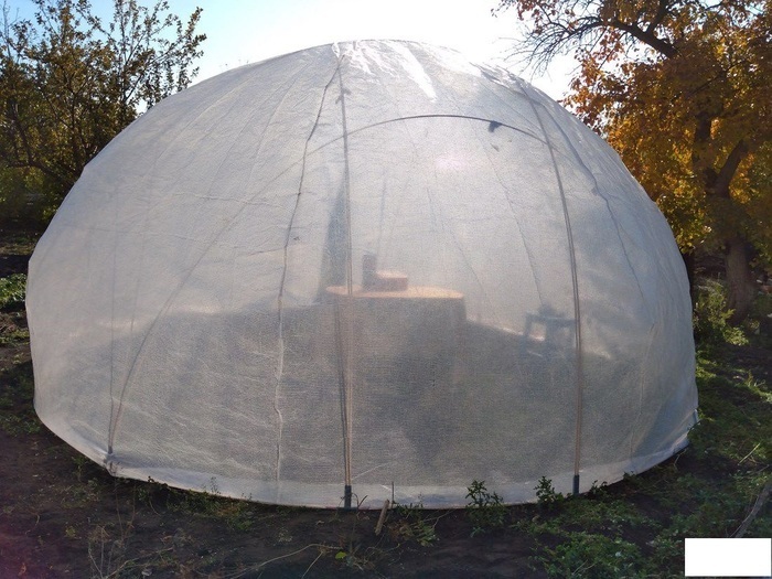 Greenhouse dome 5 m