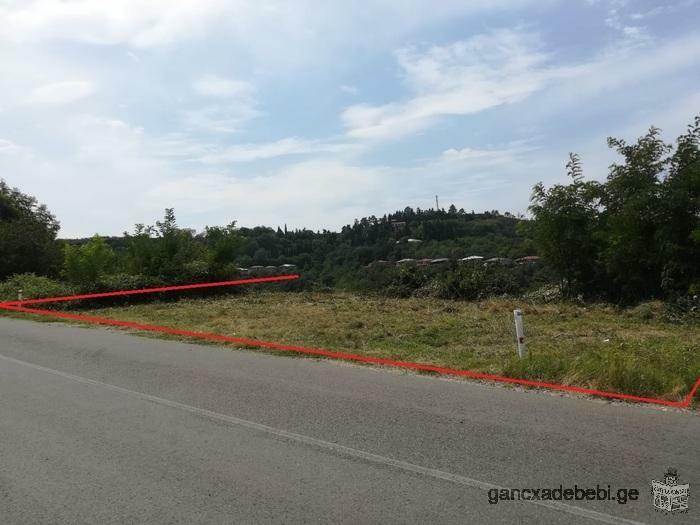 Hotel Land Plot For Sale in Signaghi