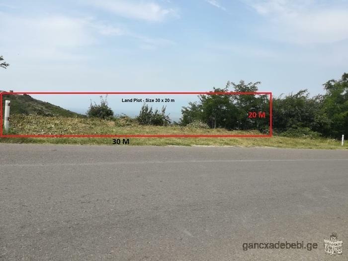 Hotel Land Plot For Sale in Signaghi