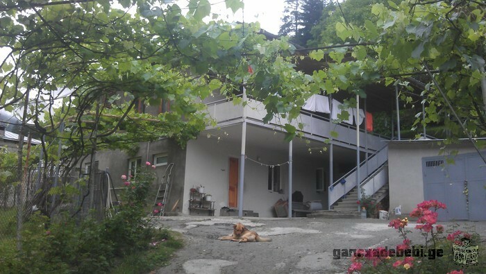 House for rent in Borjomi, Likani forest edge.