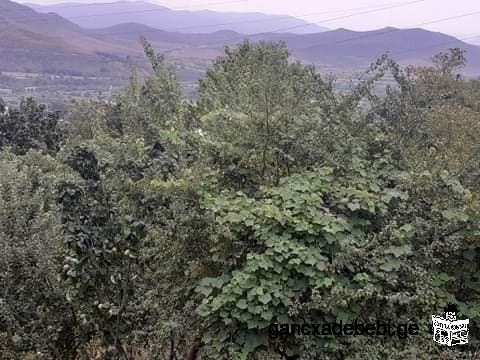House for sale, 2250 m2 of land full of fruit trees. The house is to be renovated