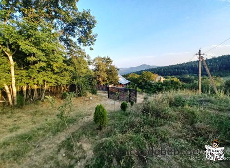 House for sale in Tetri Tskaro region
