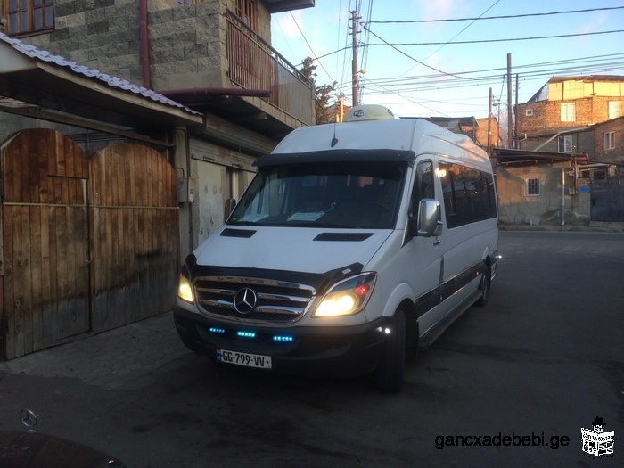 I will operate tours by comfortable minibuses,