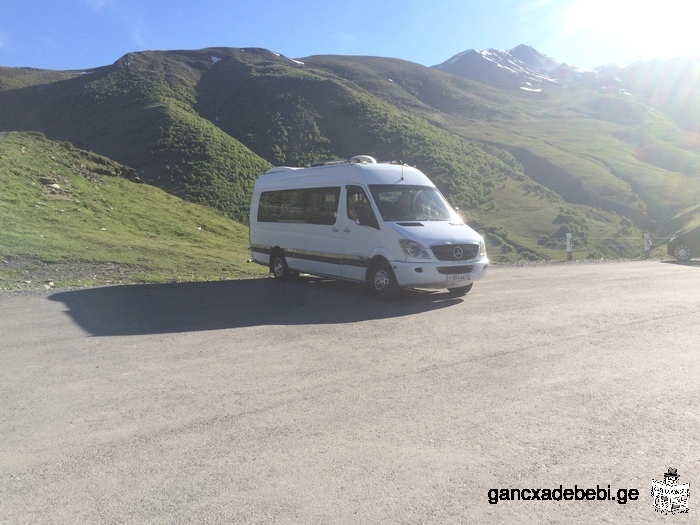 I will operate tours by comfortable minibuses,
