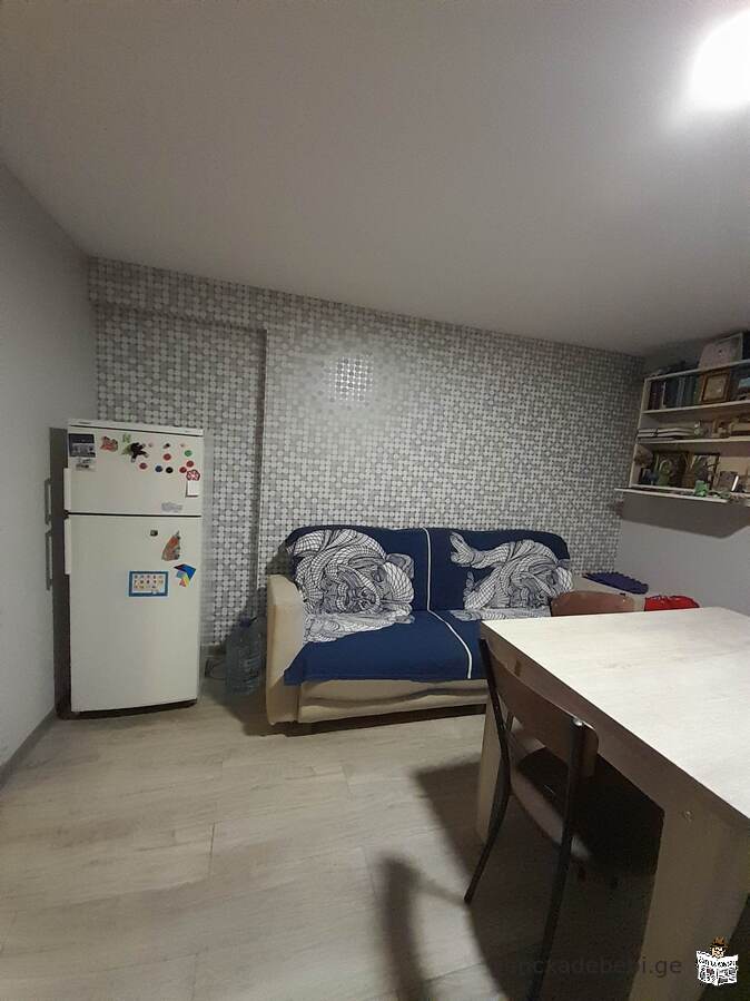 In the city center - near Gori Park, a well-furnished private house for rent