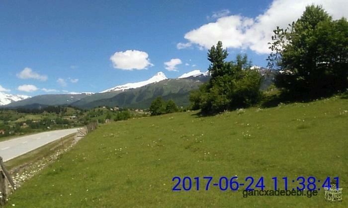 LOOKING FOR AN INVESTOR! I have a land plot in GEORGIA , SVANETI.
