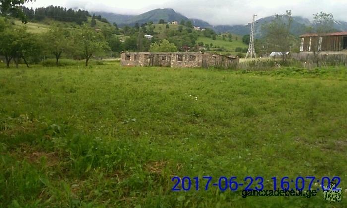 LOOKING FOR AN INVESTOR! I have a land plot in GEORGIA , SVANETI.