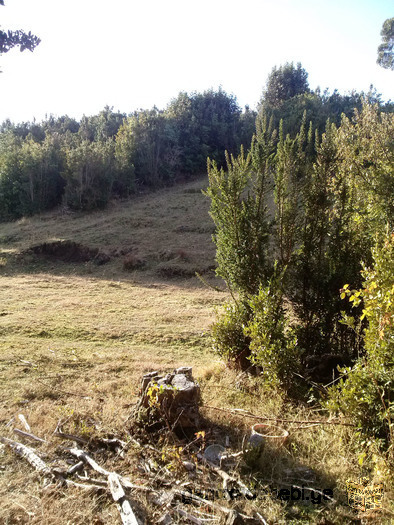 Land For Sale in Chile