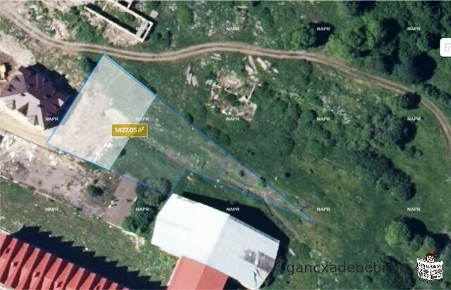 Land for sale in Bakuriani