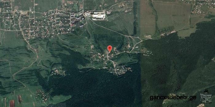 Land for sale in Tserovani, near the forest
