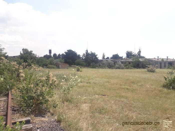 Land for sale in Vaziani