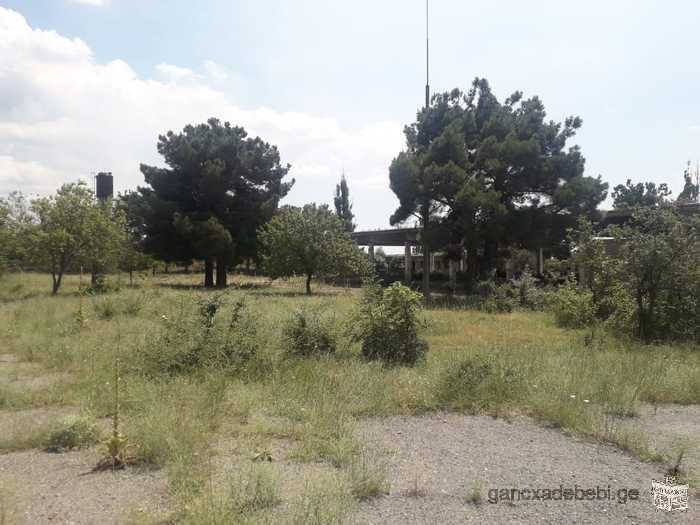 Land for sale in Vaziani